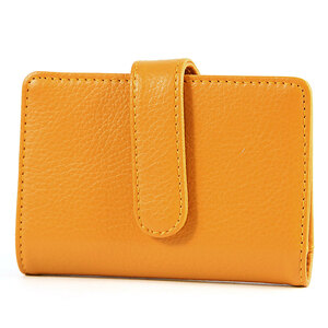* yellow (08) card-case lady's men's card-case magnetism prevention high capacity Point card stylish card holder card inserting 