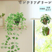 ☆ 163701.クレマチス 光触媒 観葉植物 通販 フェイクグリーン おしゃれ 壁掛け フェイク 造花 吊り下げ ハンギング フック 壁 消臭 抗菌_画像4