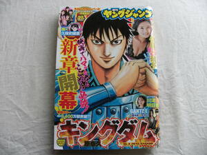 週刊ヤングジャンプ 2020年27号 小島瑠璃子/川津明日香