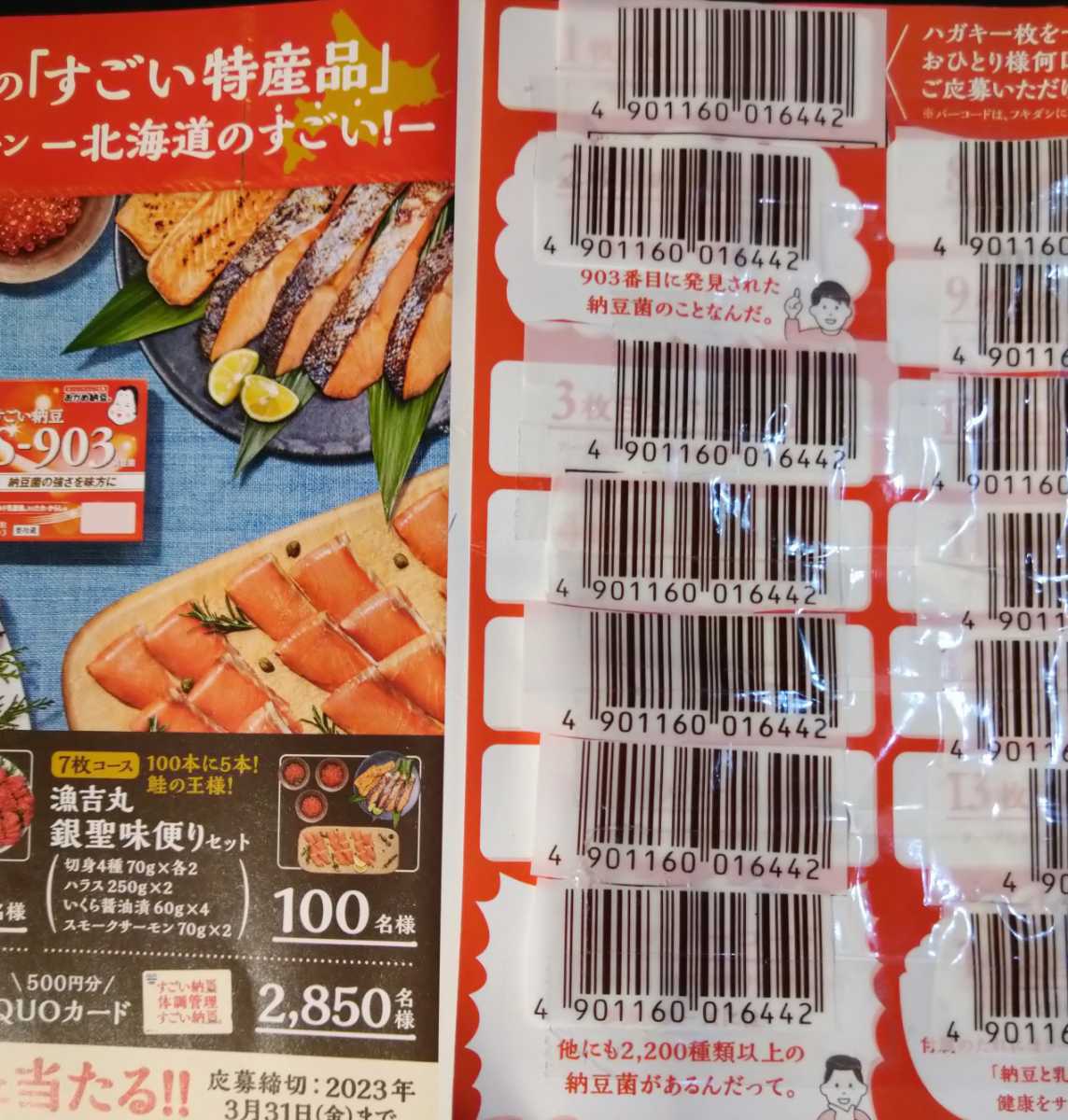 濾過材、フィルターろ材、高品質納豆菌角棒ろ材30 3翌日発送 - 通販