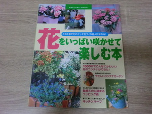  flower . fully .... comfort book@ New Year (Spring) .... inside san '99 appendix 