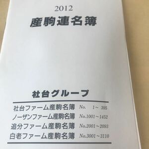 社台グループ【2012産駒連名簿】写真参照　美品　BKHY