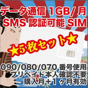 5枚セット プリペイドSIM データ通信1GB/月 SMS受信 090/080/070