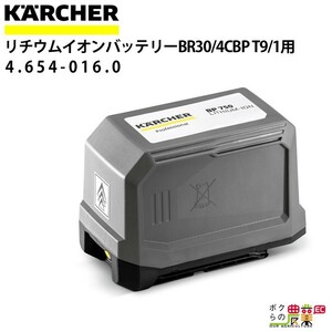 ケルヒャー リチウムイオンバッテリー 4.654-016.0 バッテリー用 アクセサリー 部品 交換 KAERCHER
