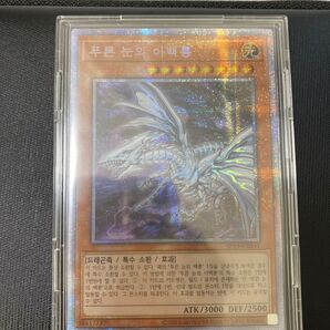 オルタナティブドラゴン 韓国語 ギラつき強め 青眼の亜白龍 遊戯王 龍 幻 創