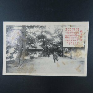 【絵葉書1094】橋立公園 着物美人 保養記念 大正13年 丹後 赤十字社京都支部保養所 記念印 記念スタンプ / 戦前絵はがき 古写真 郷土資料