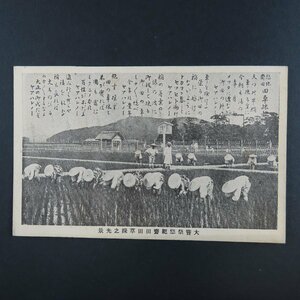 【絵葉書1273】大嘗祭悠紀齋田田草採の光景 / 戦前絵はがき 古写真 郷土資料