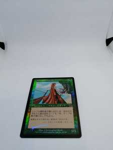 MTG 【JP】【Foil】《エルフの開拓者/Elvish Pioneer》[ONS] 緑C