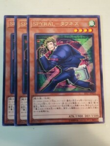 遊戯王 ＳＰＹＲＡＬ－タフネス レア 三枚 数量6