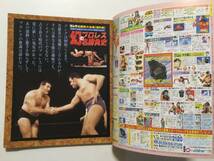 週刊ゴング 1996年(平成8年)11月8日増刊号●幻のプロレス名勝負史 [管A-19]_画像3