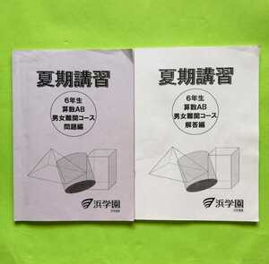 t16.. 浜学園　小６　夏期講習　「6年生 算数 AB 男女難関コース 問題集 ・ 解答編」 ２０２２年度 