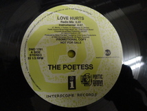 The Poetess - Love Hurts オリジナル原盤 激渋ハードコア フィメールラップ 12 Def Jef & Kool G Rap 参加　視聴_画像2