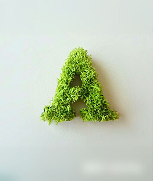 木製アルファベットオブジェ(モス)5cm『A』×1点