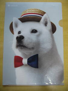 Softbank Dad Dog Clear File