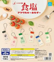 【即決】　食塩　（赤）トットロン食品 食塩　アクリルキーホルダー　Qualia　ガチャ_画像2