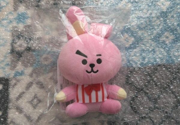 bt21 COOKY