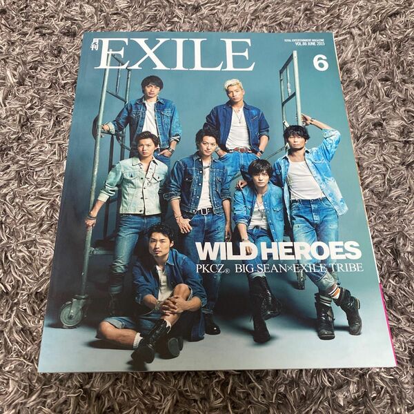 月刊 ＥＸＩＬＥ (６ ２０１５) 月刊誌／ＬＤＨ