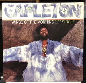 レア 倉庫出 Ragga HipHop 1995 Capleton Feat Method Man / Wings Of The Morning Remix Original US 12 Rush Associated Labels Def Jam