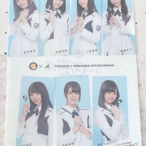 けやき坂46 CoCo壱番屋 クリアファイル