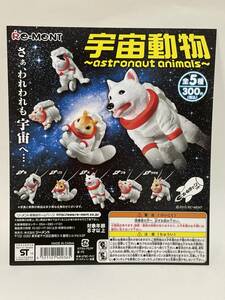 リーメント　宇宙動物　astronaut animals　台紙　Re-Ｍent