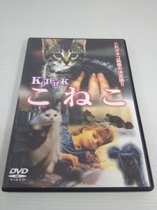 DVD こねこ 日本語吹き替えあり　1996年　ロシア映画 猫　※動作未確認