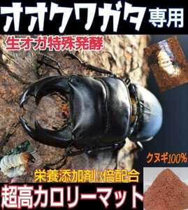 オオクワガタ専用☆超高カロリーマット【5袋】生オガを特殊発酵！共生バクテリア・特殊アミノ酸など栄養添加剤を３倍配合☆フタマタ系にも