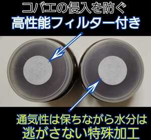 ミヤマにお薦め　クワガタ幼虫を入れるだけ！　便利です！　800ml クリアボトル入り　プレミアム発酵マット【10本】　栄養添加剤３倍配合　