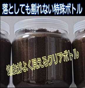  stag beetle. larva . inserting only! convenience.! 800ml clear bottle entering premium departure . mat [5ps.@] nutrition addition agent 3 times combination Miyama ....