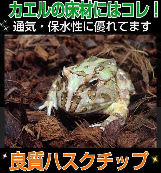 カエルの床材はコレが一番!良質ハスクチップ☆10リットル袋☆ 厳選した良質な天然素材100% 通気・保水性に優れ清潔な環境をつくります☆