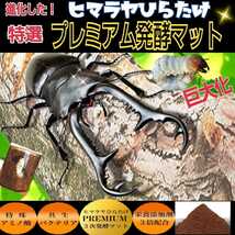 クワガタの幼虫を入れるだけ！　便利です！　　800ml クリアボトル入り　プレミアム発酵マット【2本】栄養添加剤３倍配合　ミヤマにお薦め_画像10