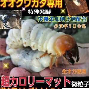 オオクワガタ専用☆超高カロリーマット【6袋】生オガを特殊発酵！共生バクテリア・特殊アミノ酸など栄養添加剤を３倍配合☆フタマタ系にもの画像4