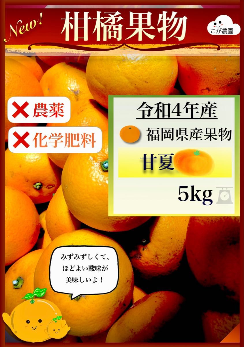 甘夏、はっさく無農薬 果物 | decoracionesglobos.com