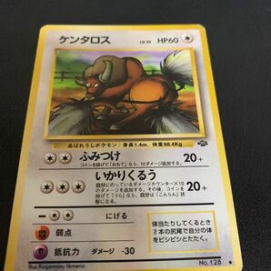 ポケモンカード 旧裏面　ケンタロス