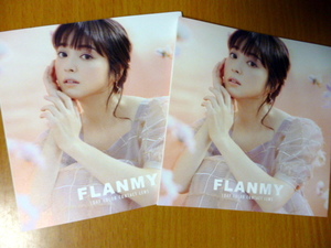 非売品冊子　　佐々木希　「FLANMY」　リーフレット２枚