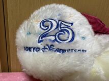 TDR TDL 25周年 ミニー ファンキャップ キラキラ ラメ ホワイト リボン 美品 ディズニーランド 防寒 帽子 25th ディズニー_画像6