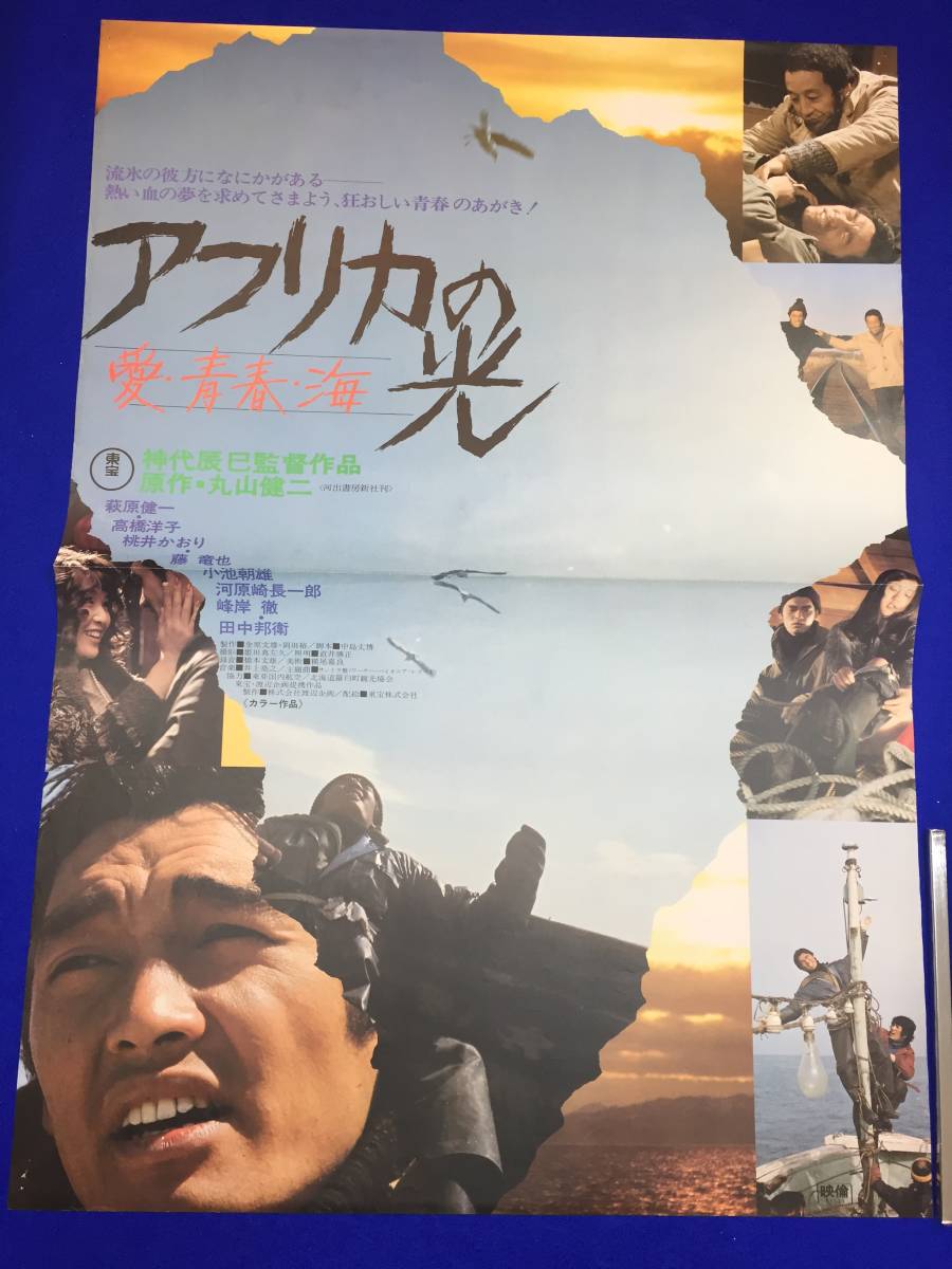 ヤフオク! -アフリカの光の中古品・新品・未使用品一覧 ヤフオク! -アフリカの光の中古品・新品・未使用品一覧