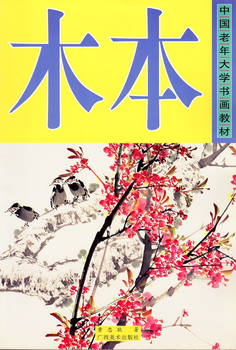 Grand livre chinois A3, matériel pédagogique pour l'enseignement de l'art chinois, peinture à l'encre, 9787807463436, art, Divertissement, Peinture, Livre technique