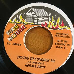 Horace Andy / Trying To Conquer Me　[Fire House]