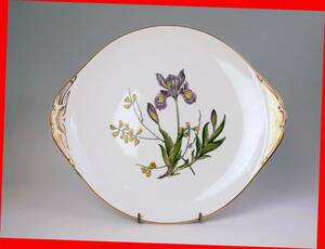  Spode роскошный золотая краска *. цветок * очень большой BB plate 32cm (STAFFORD FLOWERS) Iris & Tphaerolobium