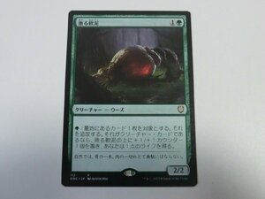 MTG 美品 【漁る軟泥】 （レア） ファイレクシア：完全なる統一 ONC 日 4枚迄