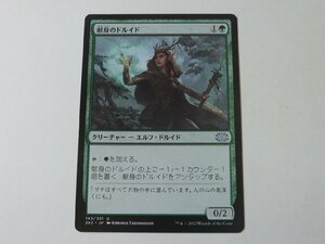 MTG 美品 【献身のドルイド】 （アンコモン） 2X2 日 8枚迄