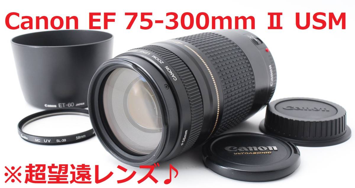本店 美品 Wi-Fi ショット数6448回 Nikon D7000 #5105 plume-digitale.com