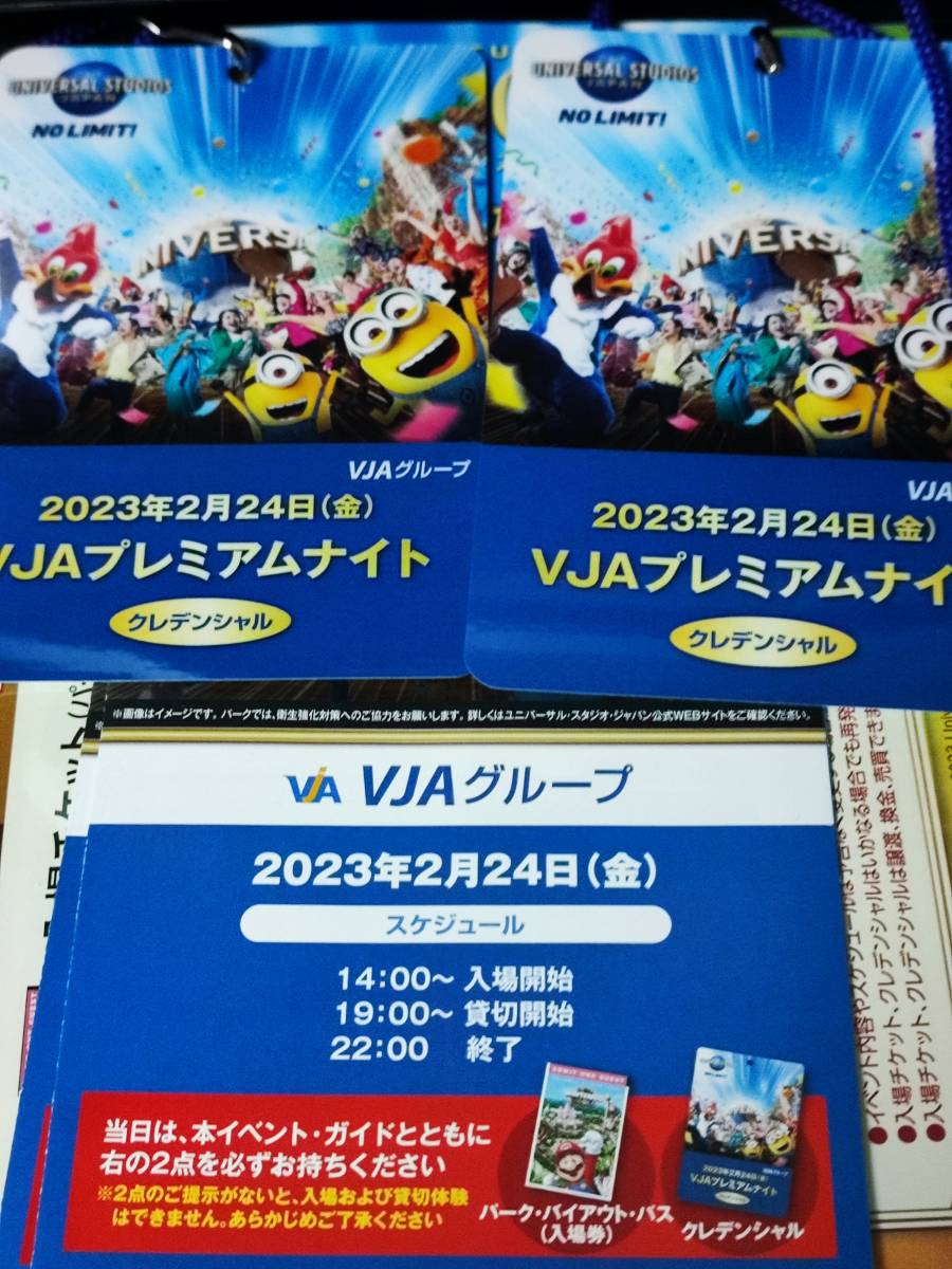 注目ブランドのギフト マリオエリア入場可能 ユニバ チケット 貸切