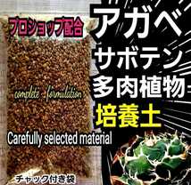 アガベ　専用培養土【20L】プロショップが原料にこだわり抜群の配合で完成させた特選品　これ1つあればバッチリ育成OKです！多肉植物全般に_画像1