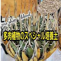 アガベ　専用培養土【30L】プロショップが原料にこだわり抜群の配合で完成させた特選品　これ1つあればバッチリ育成OKです　多肉植物全般に_画像4