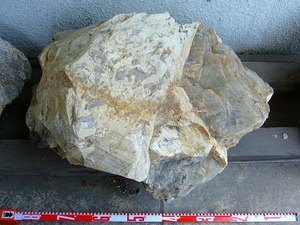 2【当町イイ田代aO23-2/2-341有】標本鉱物　長石結晶 未使用