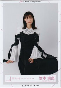 Sakurazaka46 Masumoto "1 -й тур 2021" Живой костюм