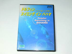 中古DVD　ドルフィン スイミング イン バハマ　イルカと過ごした6日間