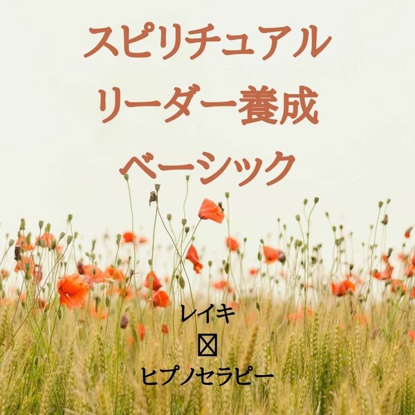 【即決価格】★スピリチュアルリーダー養成講座★ ヒプノ 催眠療法士・ レイキ ★非売品★【匿名配送】