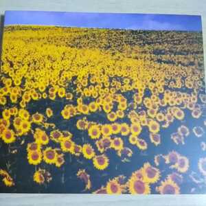 FF056　CD　Mr.Children BOLERO　１．prologue　２．Everything(It's you)